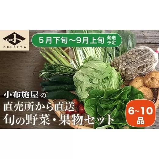 直売所から直送 旬の野菜・果物セット 6～10品 ［小布施屋］野菜 やさい 果物 フルーツ 詰め合わせ 詰合せ  令和8年産【2026年5月下旬～9月上旬発送】 ［H-79］