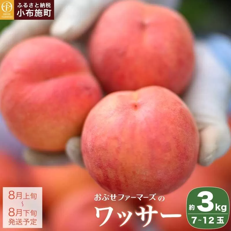 ワッサー 約3kg 7～12玉 ［おぶせファーマーズ］果物 フルーツ 先行予約 長野県産 信州産 先行予約 数量限定 クール便 冷蔵便 お取り寄せ 産地直送 送料無料 令和8年産【2026年8月上旬～下旬発送】