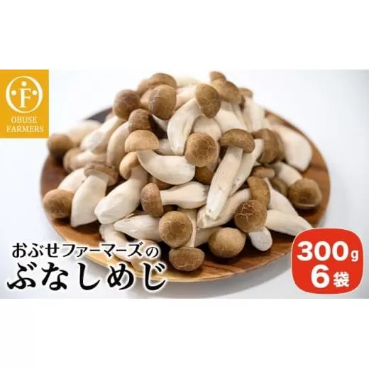 ぶなしめじ 300g × 6袋 ［おぶせファーマーズ］ きのこ キノコ 野菜 鍋 炒め物 長野 信州 ［FH-70］
