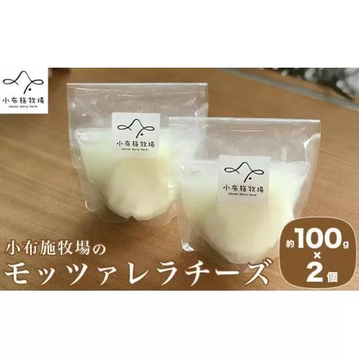 無添加 小布施牧場の搾りたてジャージー牛乳で作ったモッツァレラチーズ 100g × 2個 ［小布施牧場］チーズ モッツァレラ プレゼント 長野 信州 冷蔵便 クール便 ［B-14］
