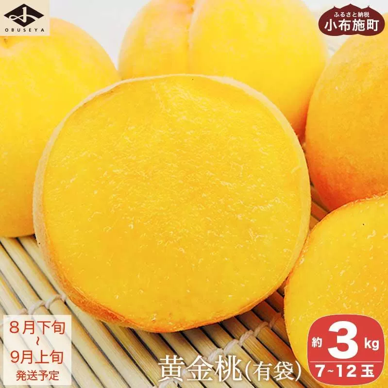 黄金桃（有袋） 約3kg 7～12玉 ［小布施屋］ 桃 もも モモ フルーツ 果物 令和8年産 【2026年8月下旬～9月上旬発送】 ［A-214］