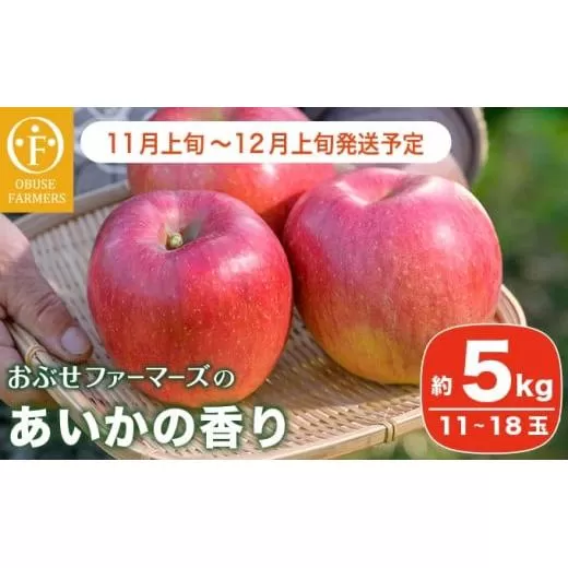  あいかの香り  約5kg 11～18玉 ［おぶせファーマーズ］ 果物 フルーツ りんご 林檎 リンゴ 長野県産 信州産 令和7年産 【2025年11月上旬～12月上旬発送】 ［F-234］