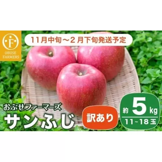 【訳あり】 サンふじ 約5kg 11～18玉［おぶせファーマーズ］  不揃い 規格外 家庭用 りんご 林檎 リンゴ 果物 フルーツ ふじ 長野 信州 数量限定 令和7年産 【2025年11月中旬～2026年2月下旬発送】［F-24］