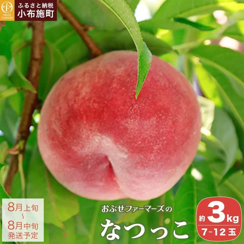 なつっこ 約3kg 7～12玉 ［おぶせファーマーズ］桃 もも モモ フルーツ 果物 クール便 冷蔵便 長野県産 信州産  令和8年産【2026年8月上旬～中旬発送】［F-15］