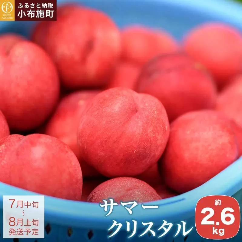 サマークリスタル 約2.6kg ［おぶせファーマーズ］先行予約 ネクタリン 果物 フルーツ 冷蔵便 クール便 長野県産 信州産  令和8年産【2026年7月中旬～8月上旬発送】［F-20］