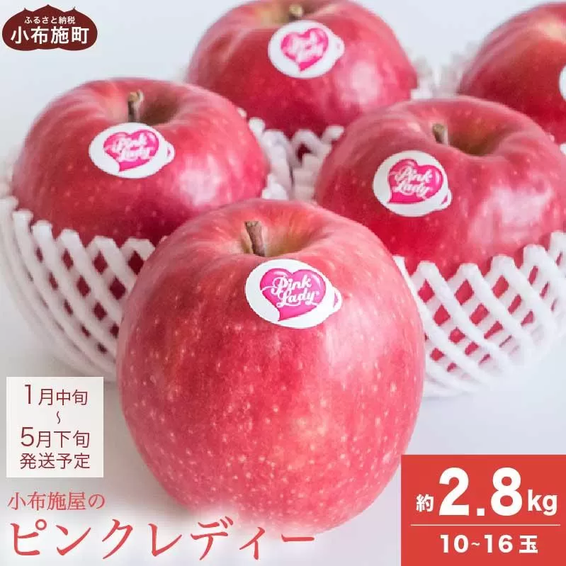 ピンクレディー 約2.8kg 10～16玉［小布施屋］りんご 林檎 リンゴ フルーツ 果物 くだもの 長野産 信州産 【2026年1月中旬～5月下旬発送】