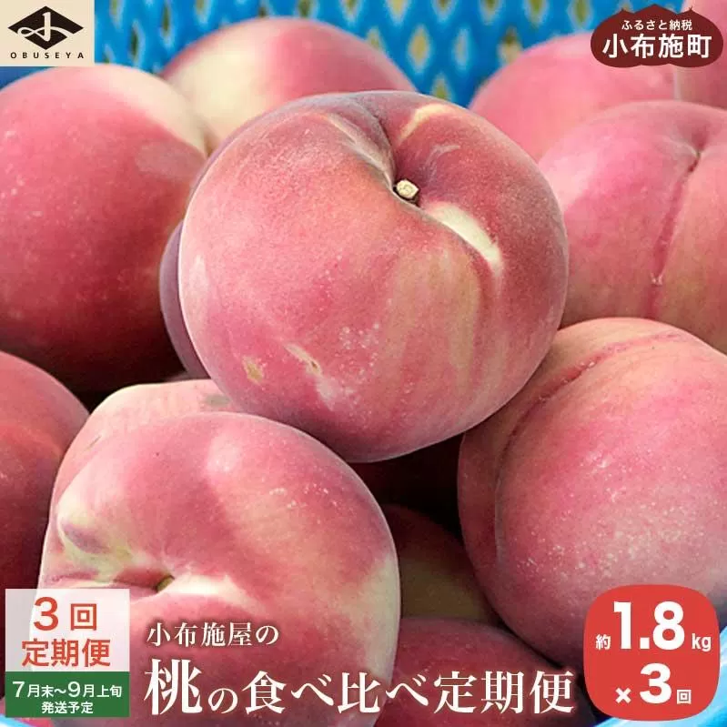 【3回定期便】小布施屋の 桃食べ比べ定期便 約1.8kg×3回 ［小布施屋］ 桃 もも モモ フルーツ 果物 冷蔵便 クール便 長野県産 令和8年産【2026年7月末～9月上旬発送】