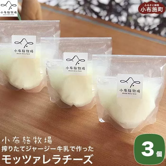 無添加 小布施牧場の搾りたてジャージー牛乳で作ったモッツァレラチーズ 100g × 3個 ［小布施牧場］チーズ モッツァレラ おつまみ サラダ 冷蔵便 クール便 プレゼント 長野 信州 ［A-29］