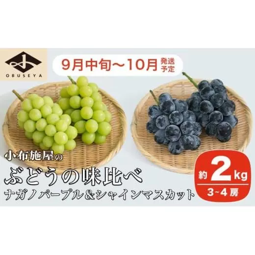 高級ぶどう味比べ詰合せ ナガノパープル ＆ シャインマスカット 約2kg 3～4房 ［小布施屋］ 果物 フルーツ ぶどう 葡萄 詰め合わせ セット 食べ比べ 令和8年産【2026年9月中旬～10月発送】［C-1］