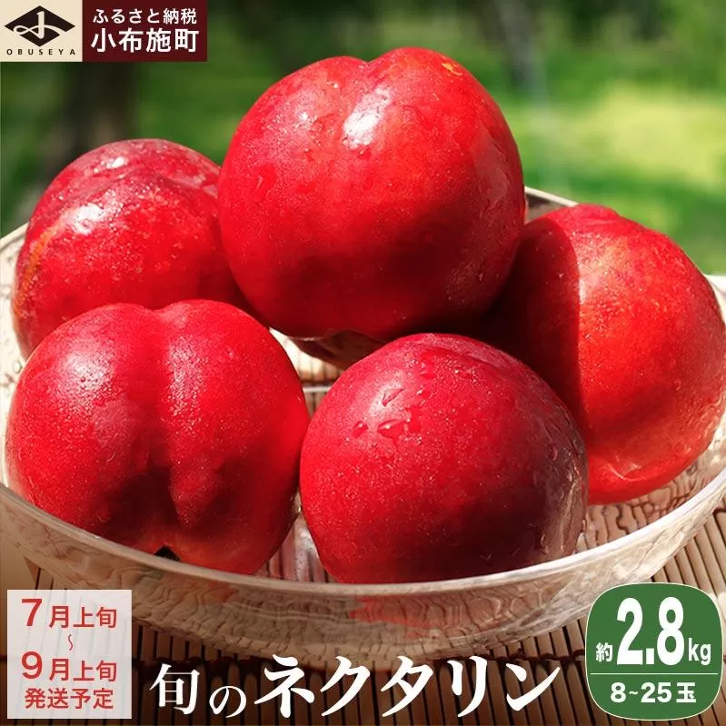 旬のネクタリン 約2.8kg 8～25玉 ［小布施屋］果物 フルーツ 桃 もも 長野県産 小布施 冷蔵便 クール便 産地直送 数量限定 送料無料 令和8年産【2026年7月上旬～9月上旬発送】
