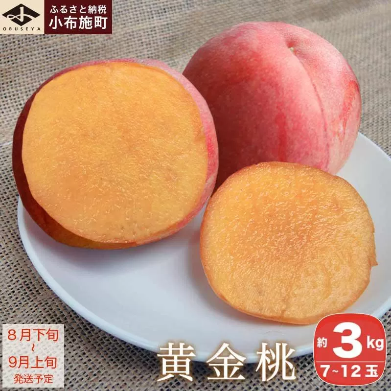 黄金桃 約3kg 7～12玉 ［小布施屋］ 桃 もも モモ フルーツ 果物 令和8年産 【2026年8月下旬～9月上旬発送】 ［A-11］