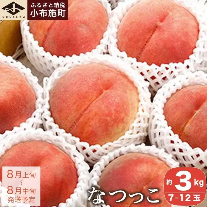 なつっこ (白桃） 約3kg 7～12玉 ［小布施屋］ 桃 白桃 もも モモ フルーツ 果物 令和8年産 【2026年8月上旬～中旬発送】