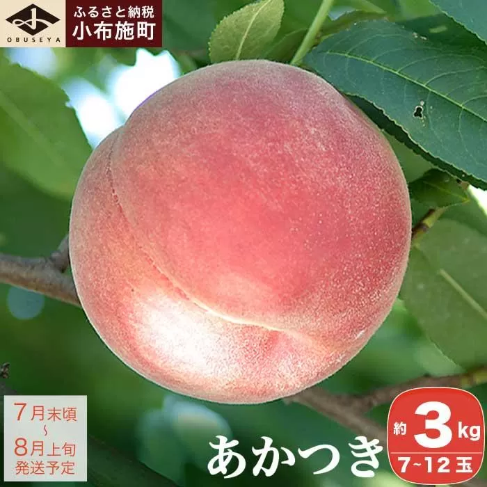 あかつき 約3kg 7～12玉 ［小布施屋］ 桃 もも モモ フルーツ 果物 令和8年産 【2026年7月末頃～8月上旬発送】