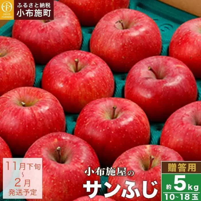 サンふじ 贈答用 約5kg 10～18玉 ［小布施屋］ りんご 林檎 リンゴ  果物 フルーツ 長野県産 信州産 特産 産地直送 産直 数量限定 先行予約 ギフト 令和7年産 【2025年11月下旬～2026年2月発送】