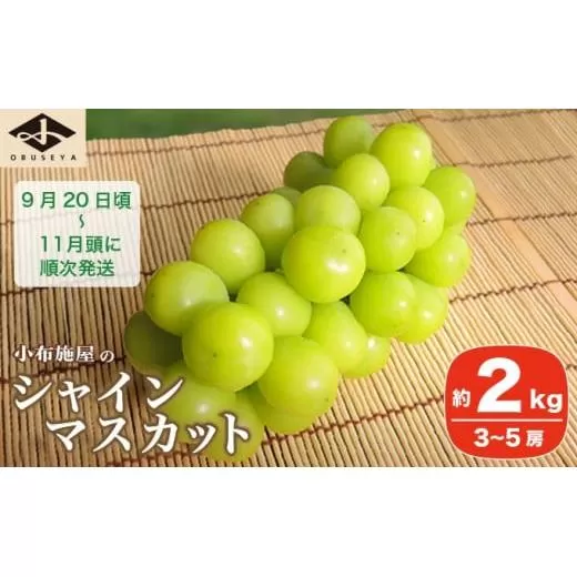 シャインマスカット 約2kg 3～5房 ［小布施屋］ フルーツ 果物 くだもの ぶどう 葡萄 ブドウ 数量限定 クール便配送 長野県産 産地直送 先行予約 送料無料 2026 2026年発送 令和8年産 【2026年9月20日頃～11月頭にかけて順次発送】