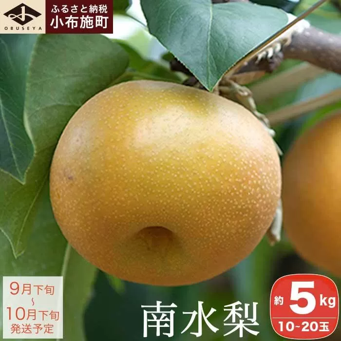 南水梨 約5kg 10-20玉 ［小布施屋］  なし 梨 果物 フルーツ 令和8年産 【2026年9月下旬～10月下旬発送】［A-210］