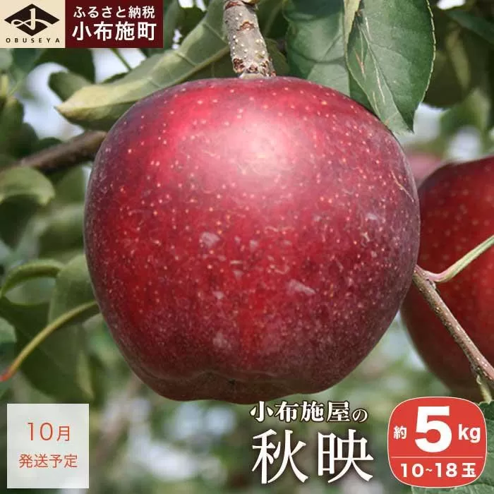 秋映 約5kg 10～18玉 ［小布施屋］  りんご 林檎 リンゴ 果物 フルーツ 令和8年産【2026年10月発送】[A-206]