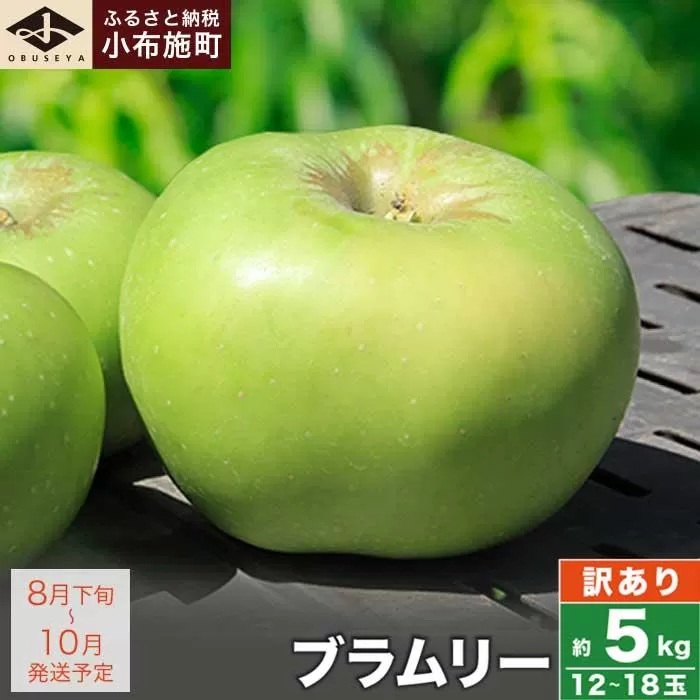 【訳あり】 クッキングアップル ブラムリー 約5kg 12～18玉 ［小布施屋］  林檎 リンゴ フルーツ 果物 傷 キズ 不揃い 規格外 家庭用 令和8年産  【2026年8月下旬～10月発送】  ［A-47］