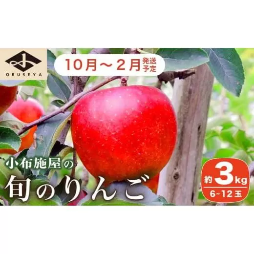 長野県産 旬のりんご 約3kg 6～12玉 ［小布施屋］ りんご 林檎 リンゴ 果物 フルーツ 信州産 特産 産地直送 産直 数量限定 お任せ お楽しみ 秋映 シナノスイート シナノゴールド シナノホッペ サンふじ 令和7年産 【2025年10月～2026年2月発送】