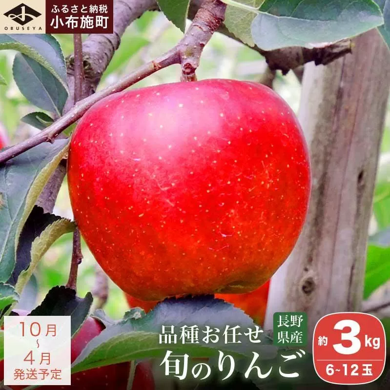 長野県産 季節の旬のりんご 約3kg 6～12玉［小布施屋］ りんご 林檎 リンゴ  果物 フルーツ 令和7年産 【2025年10月～2026年4月発送】 ［H-72］