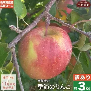 [訳あり] 季節のりんご 約3kg [新規就農者応援コース 幸作会]果物 フルーツ りんご 林檎 リンゴ 長野県産 信州産 令和7年産[2025年9月下旬〜11月中旬発送]