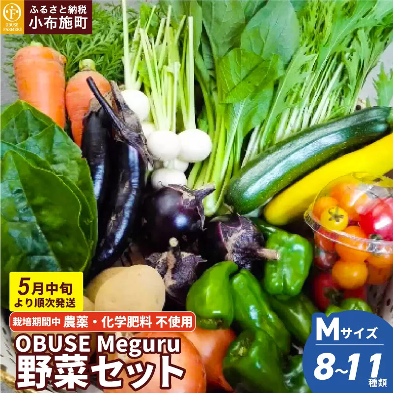 [栽培期間中農薬・化学肥料不使用] OBUSE Meguru 野菜セット M 8〜11種類 [おぶせファーマーズ] 野菜 詰め合わせ 詰合せ 農薬不使用 化学肥料不使用 おまかせ やさい 詰合せ お楽しみ 長野県産 令和7年産 [2025年5月中旬より順次発送]