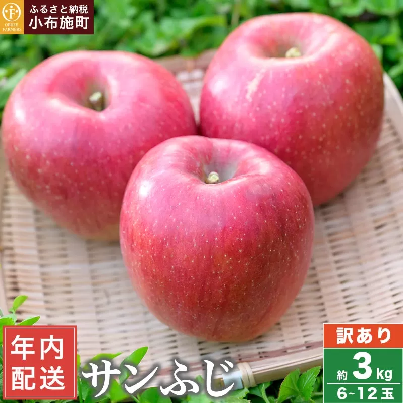 【訳あり】 年内配送 サンふじ 約3kg 6〜12玉 ［おぶせファーマーズ］ 年内発送 果物 フルーツ りんご 不揃い 規格外 家庭用 林檎 リンゴ ふじ 長野県 信州 数量限定 2025 令和7年産 【2025年11月中旬〜12月下旬配送】 12月15日決済確定分まで年内配送