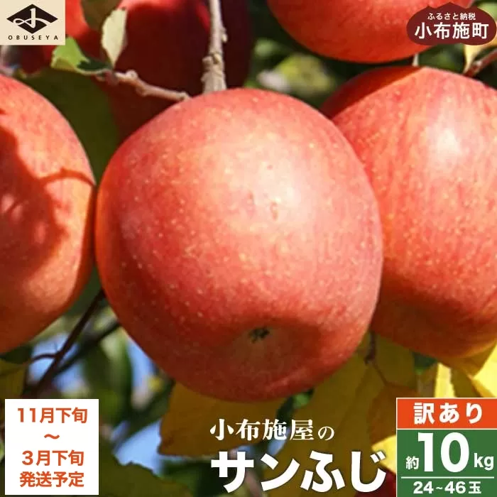 【訳あり】 サンふじ 約10kg 24〜46玉 ［小布施屋］ りんご 林檎 リンゴ 不揃い 規格外 果物 くだもの フルーツ 長野県 特産 産地直送 産直 数量限定 生産者応援 支援 家庭用 令和7年産 【2025年11月下旬〜2026年3月下旬発送】