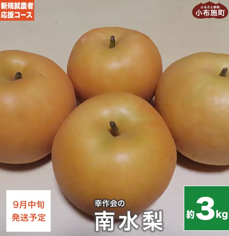 梨 南水 約3kg ［新規就農者応援コース 幸作会］ 梨 なし フルーツ 果物  長野県産 信州産 数量限定 令和7年産 【2025年9月中旬発送】