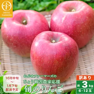 [訳あり]りんご ひょう被害農家応援 約3kg 6〜12玉 [おぶせファーマーズ] 農家応援 不揃い 規格外 家庭用 りんご 林檎 リンゴ 果物 フルーツ 長野県産 信州産 数量限定 令和7年産 [2025年10月中旬〜2026年1月下旬発送]