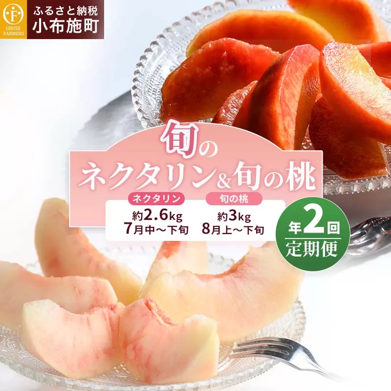 [2回定期便] 旬のネクタリン＆旬の桃 約2.6～3kg 食べ比べ 年2回定期便 ［おぶせファーマーズ］ネクタリン 白桃 旬の桃 フルーツ 果物 冷蔵便 クール便 長野県産 信州産 小布施 令和8年産【2026年7月中旬～8月下旬発送】
