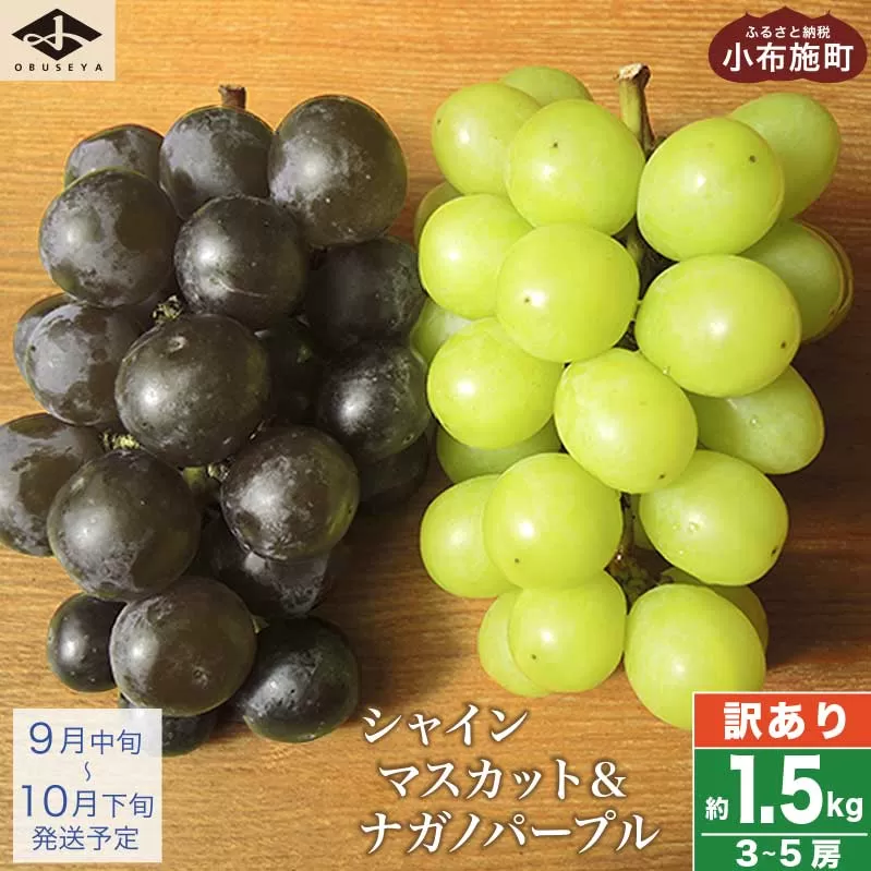 【訳あり】シャインマスカット ＆ ナガノパープル 約1.5kg 3～5房 ［小布施屋］家庭用 規格外 不揃い 傷 果物 フルーツ ぶどう 葡萄 ブドウ 数量限定 期間限定 クール便 冷蔵便 令和7年産  【2025年9月中旬～10月下旬発送】 