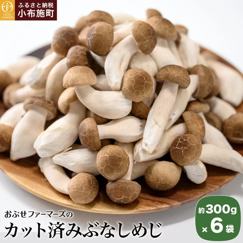ぶなしめじ  300g × 6袋 ［おぶせファーマーズ］ きのこ キノコ 野菜 鍋 炒め物 長野 信州