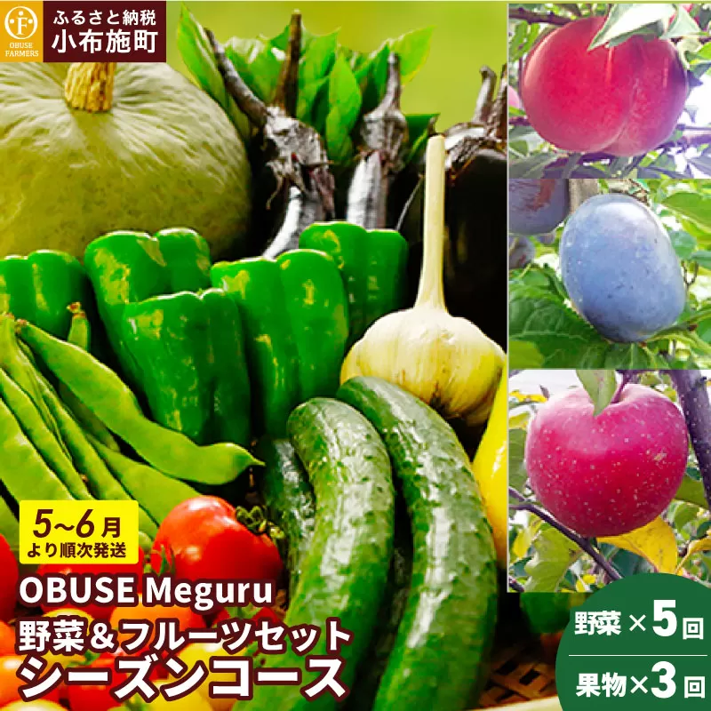 [年8回定期便] 農薬・化学肥料を使わずに栽培した野菜と減農薬栽培した果物 年8回定期便 OBUSE Meguru 野菜&フルーツセット シーズンコース[おぶせファーマーズ]おまかせ 野菜 やさい 詰め合わせ 8〜12種類 果物 フルーツ 長野 信州 数量限定 産地直送 令和7年産 [2025年5〜6月より順次発送予定]