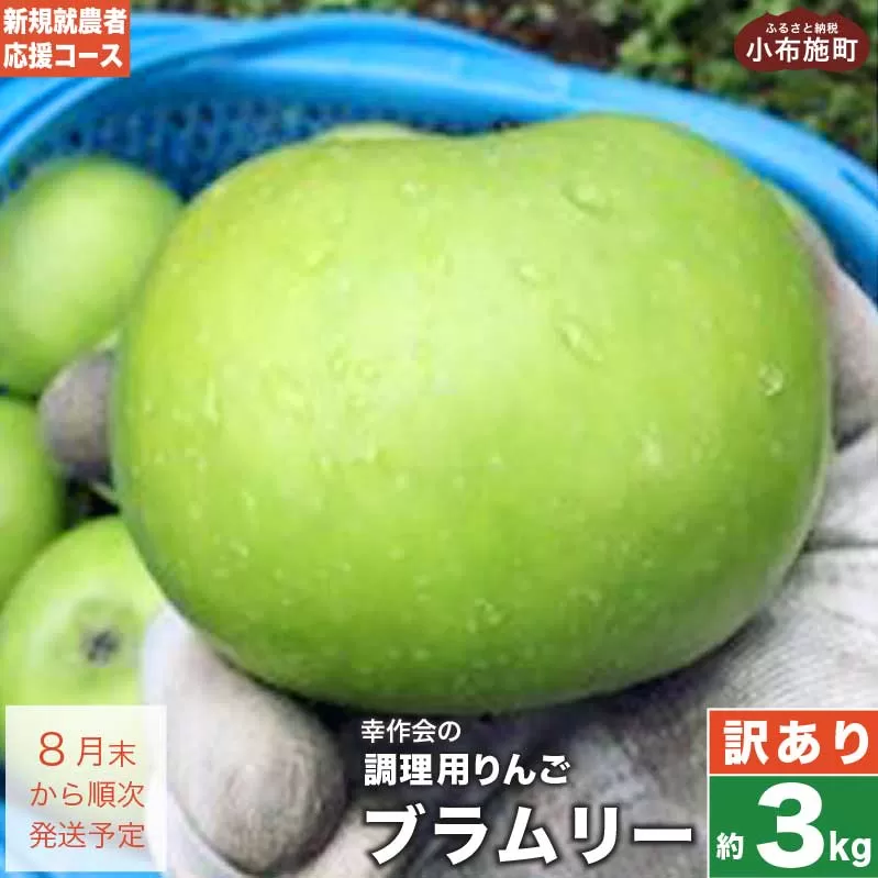 【訳あり】 ブラムリー 約3kg ［新規就農者応援コース 幸作会］フルーツ 果物 リンゴ りんご 林檎 クッキング アップル 長野県産 令和7年産【2025年8月末から順次発送】 