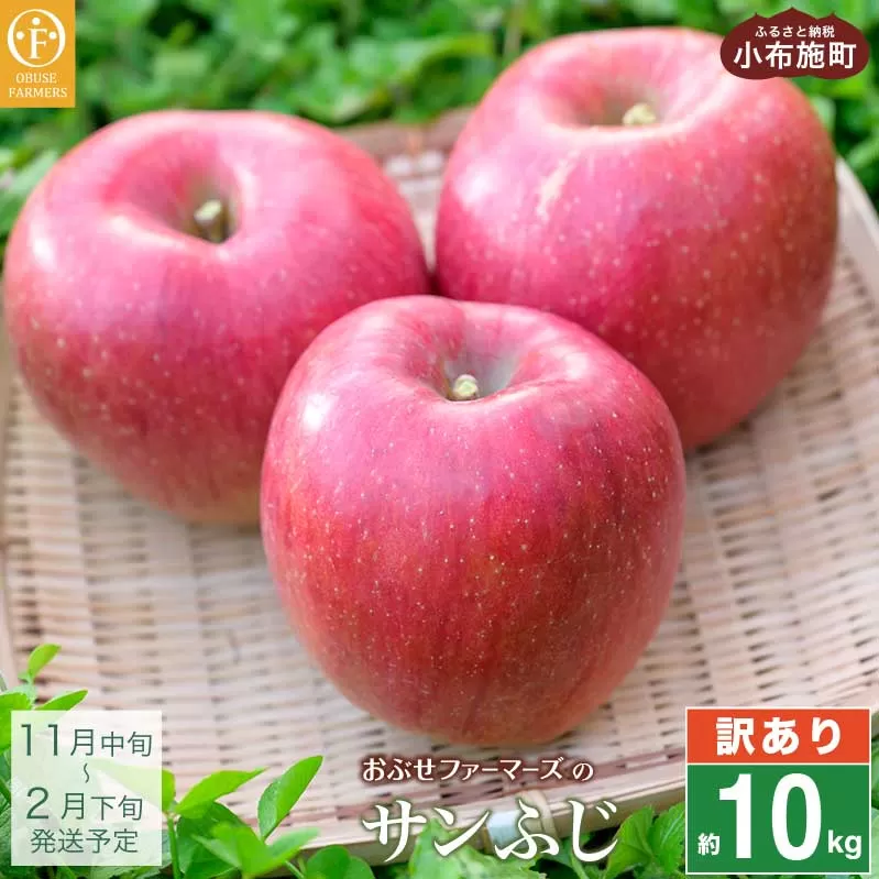 【訳あり】 サンふじ 約10kg 26～40玉 ［おぶせファーマーズ］ 果物 フルーツ りんご 不揃い 規格外 家庭用 林檎 リンゴ ふじ 長野県 信州 数量限定 令和7年産 【2025年11月中旬～2026年2月下旬発送】