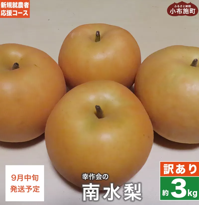 【訳あり】梨 南水 約3kg ［新規就農者応援コース 幸作会］ 梨 なし フルーツ 果物  ワケアリ 傷 キズ 不揃い 長野県産 信州産 数量限定 令和7年産 【2025年9月中旬発送】