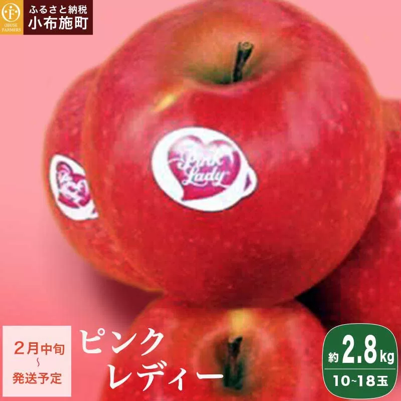 ピンクレディー 約2.8kg 10～18玉［ おぶせファーマーズ ］りんご 林檎 リンゴ フルーツ 果物 くだもの 先行予約 長野産 信州産 【2026年2月中旬～順次発送】