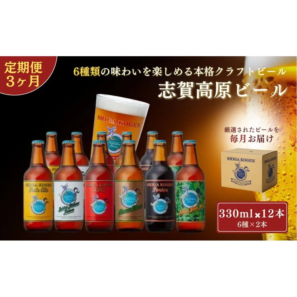 定期便 3ヶ月 志賀高原ビール12本セット 【 クラフトビール 志賀高原ビール 飲み比べセット 玉村本店 ビール 詰め合わせ セット 地ビール 飲み比べ 黒ビール IPA ipa ペールエール 酒 お酒 長野 定期 お楽しみ 3回 】 