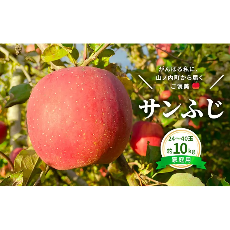 今日を癒すひと玉 私のサンふじ　サンふじ　家庭用　10kg りんご 果物
