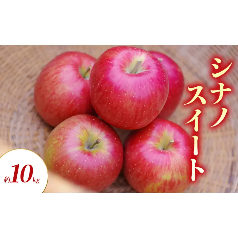 シナノスイート 約10kg りんご リンゴ 林檎 果物 フルーツ 長野県 長野 山ノ内町