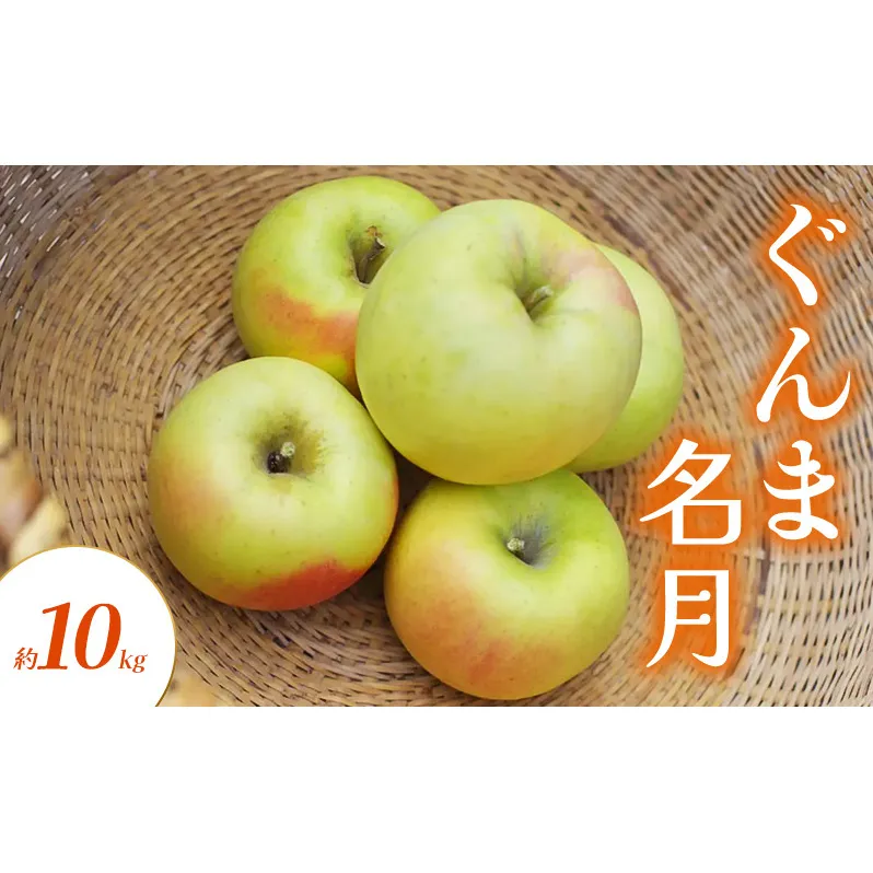 ぐんま名月 約10kg りんご リンゴ 林檎 果物 フルーツ 長野県 長野 山ノ内町