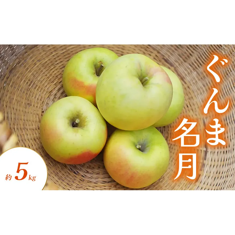 ぐんま名月 約5kg りんご リンゴ 林檎 果物 フルーツ 長野県 長野 山ノ内町