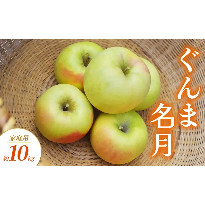 ぐんま名月 家庭用 約10kg りんご リンゴ 林檎 果物 フルーツ 長野県 長野 山ノ内町