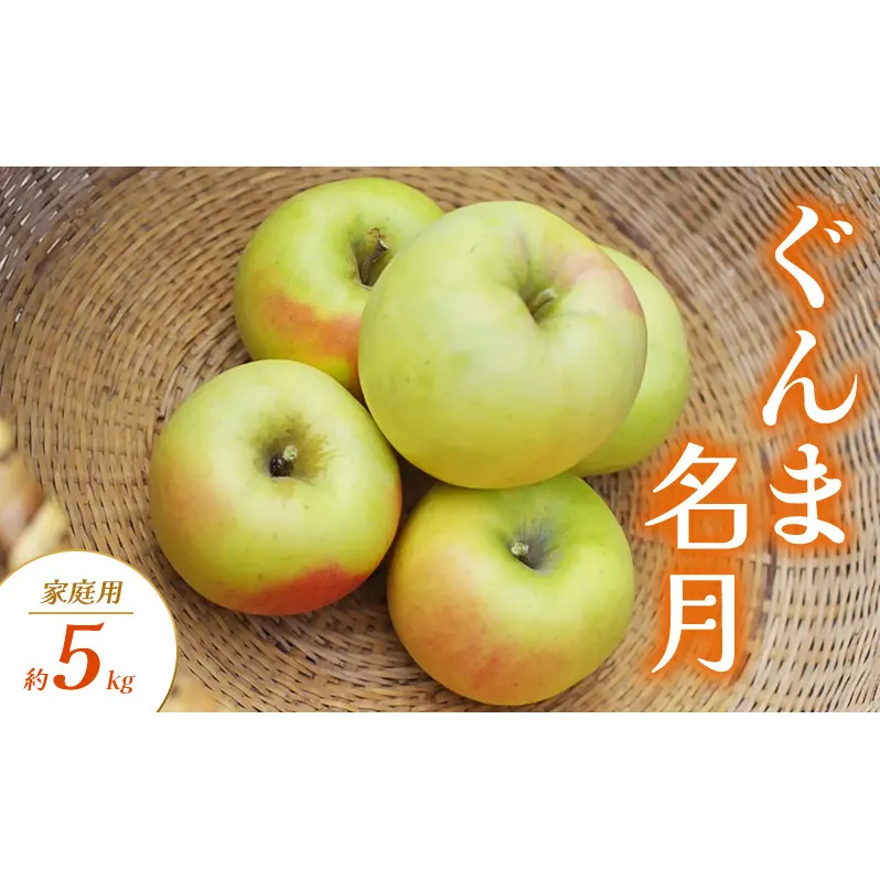 ぐんま名月 家庭用 約5kg りんご リンゴ 林檎 果物 フルーツ 長野県 長野 山ノ内町