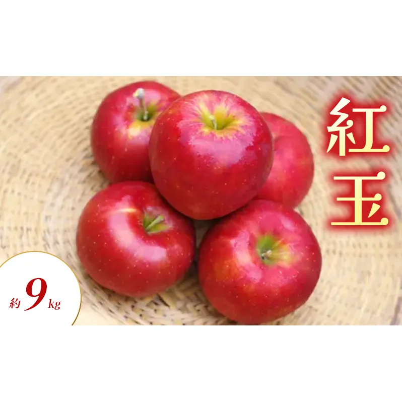 紅玉 約9kg りんご リンゴ 林檎 果物 フルーツ 長野県 長野 山ノ内町