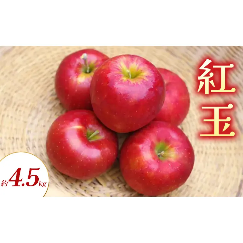 紅玉 約4.5kg りんご リンゴ 林檎 果物 フルーツ 長野県 長野 山ノ内町