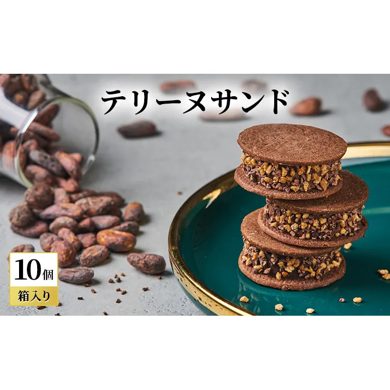 oNCHOCO テリーヌサンド(10個入り) テリーヌ チョコレート チョコ お菓子 スイーツ ギフト 贈り物