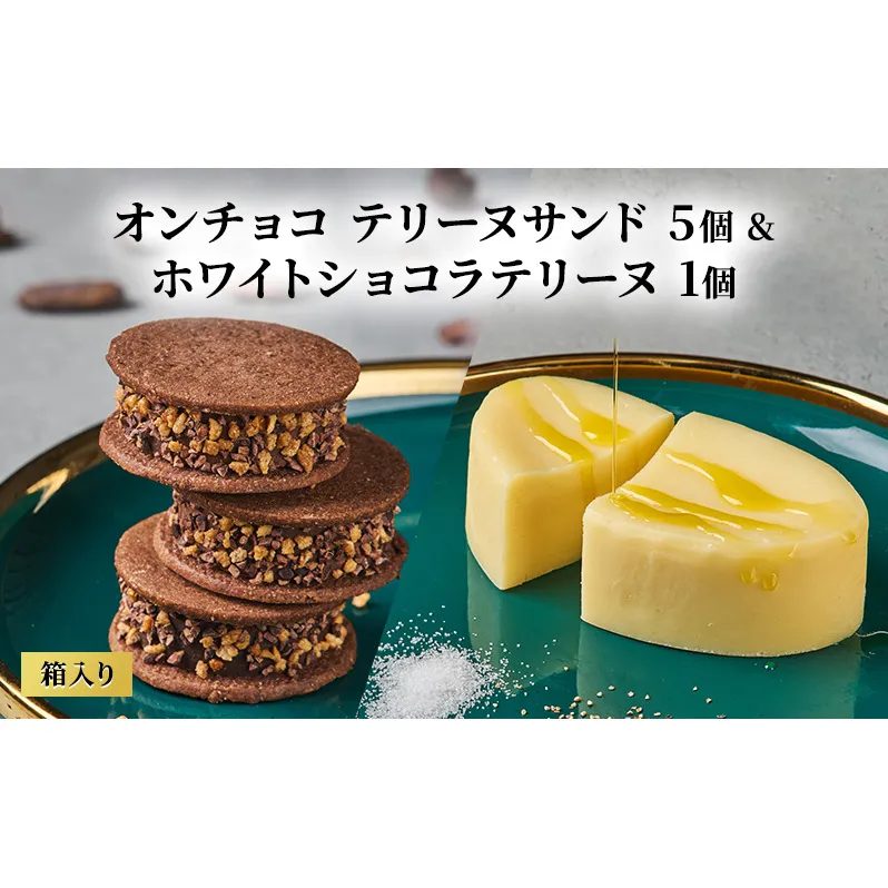 oNCHOCO テリーヌサンド(5個入り)&ホワイトショコラテリーヌ(1個) テリーヌ チョコレート チョコ お菓子 スイーツ ギフト 贈り物
