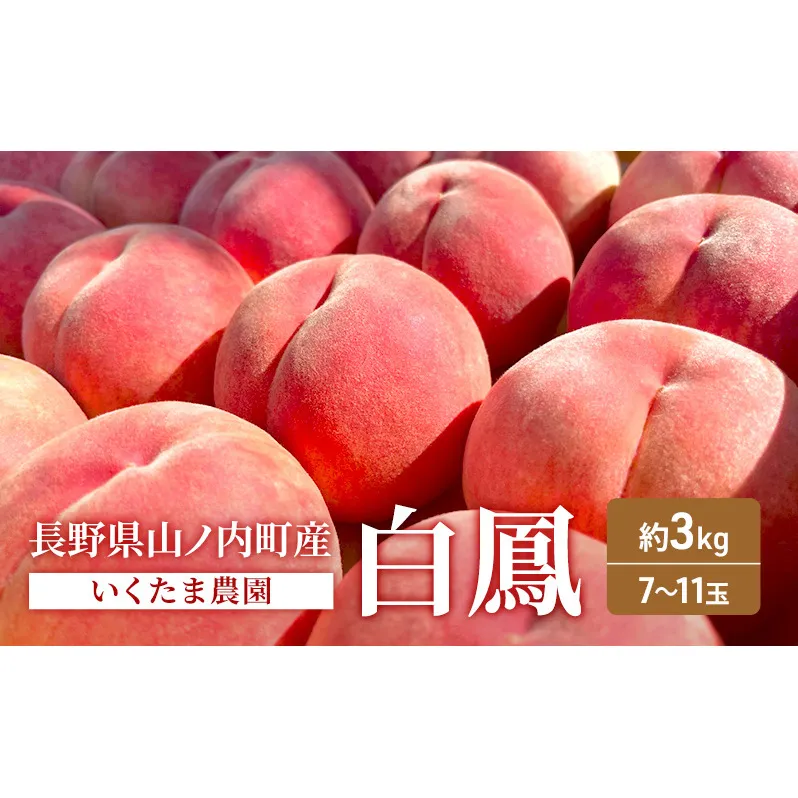 桃　白鳳　約3kg もも フルーツ 果物 お取り寄せ 長野県 山ノ内町